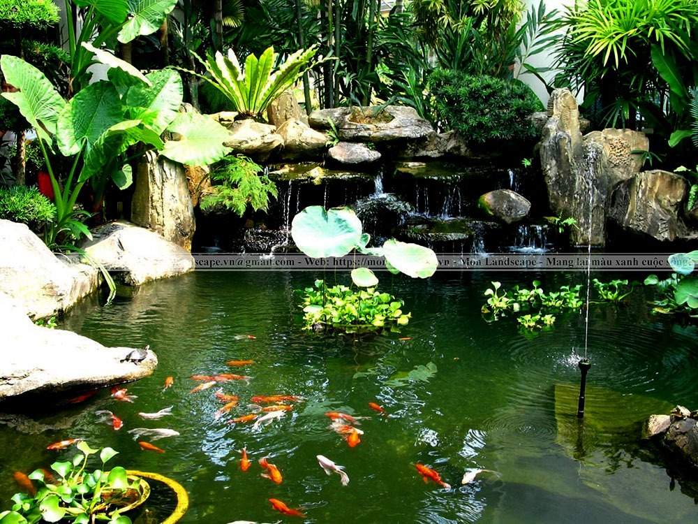 Tiểu cảnh tĩnh và tiểu cảnh động là gì?