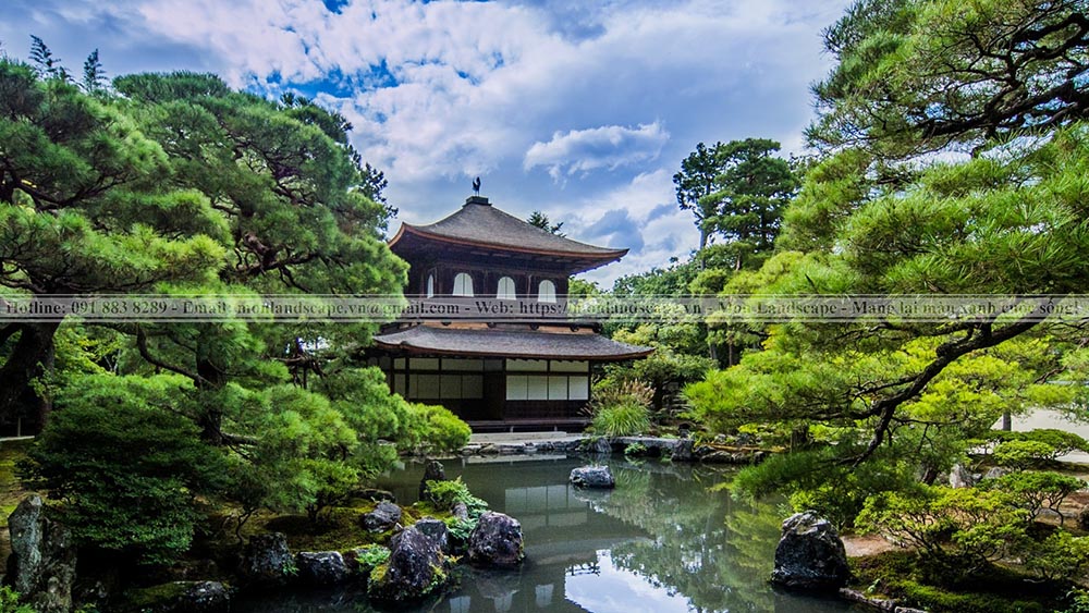 Kinh nghiệm thi công sân vườn Nhật Bản